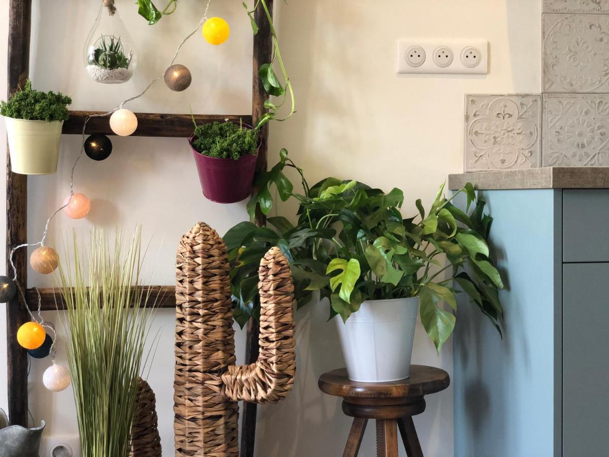 Appartement Centre-Ville Avec Terrasse Rustique Vannes Kültér fotó